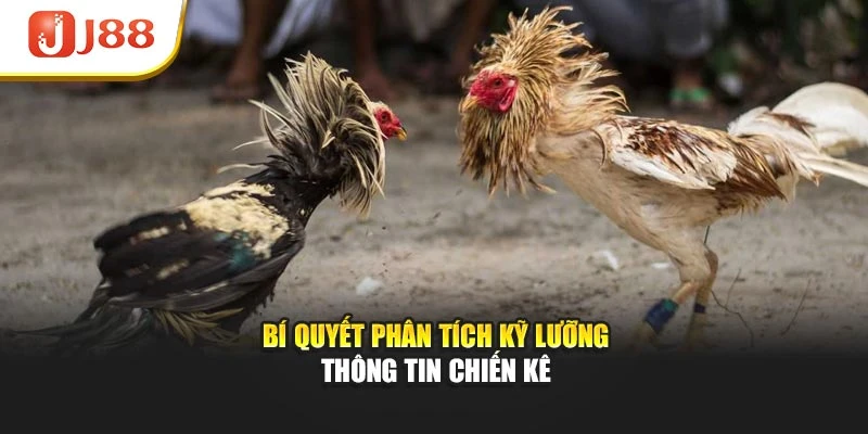 Bí quyết phân tích kỹ lưỡng thông tin chiến kê