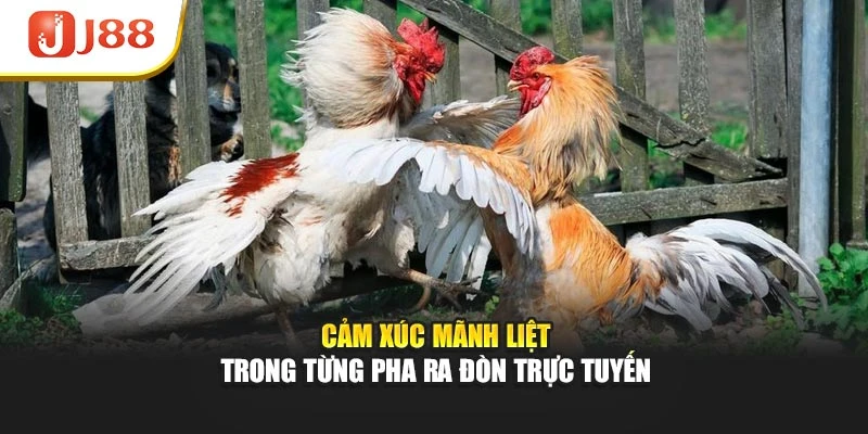 Cảm xúc mãnh liệt trong từng pha ra đòn trực tuyến