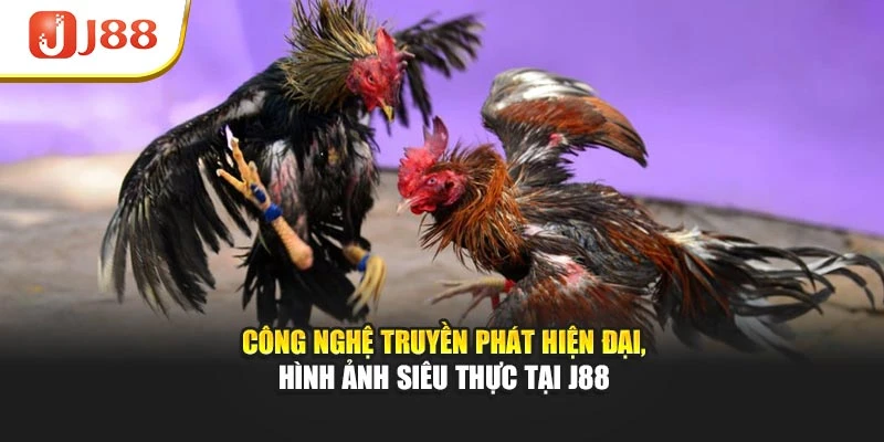 Công nghệ truyền phát hiện đại, hình ảnh siêu thực tại J88