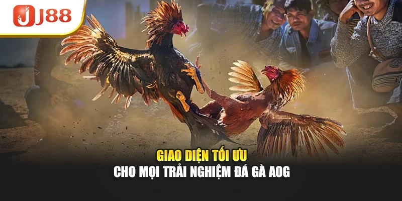 Giao diện tối ưu cho mọi trải nghiệm đá gà AOG