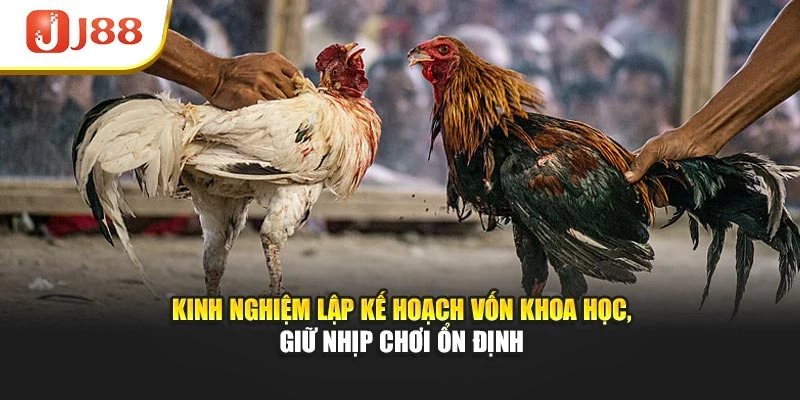 Kinh nghiệm lập kế hoạch vốn khoa học, giữ nhịp chơi ổn định