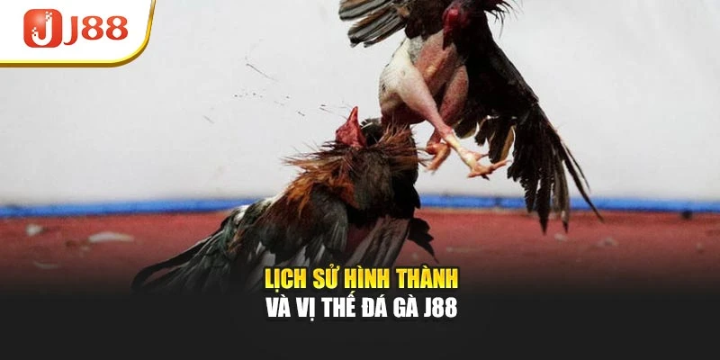 Lịch sử hình thành và vị thế đá gà J88