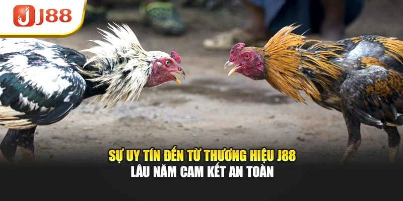 Sự uy tín đến từ thương hiệu J88 lâu năm cam kết an toàn