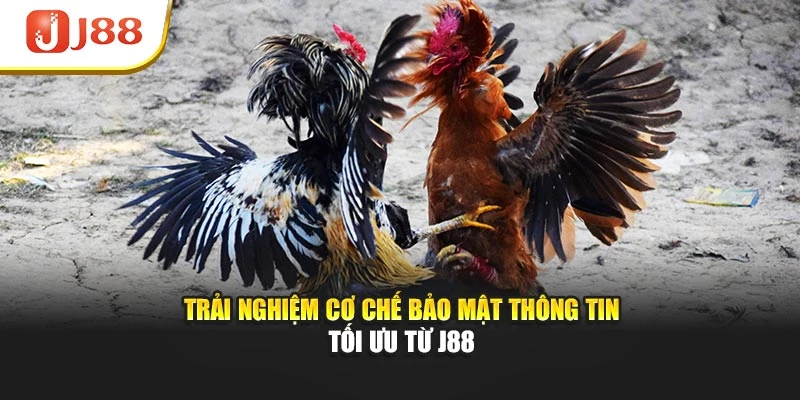 Trải nghiệm cơ chế bảo mật thông tin tối ưu từ J88