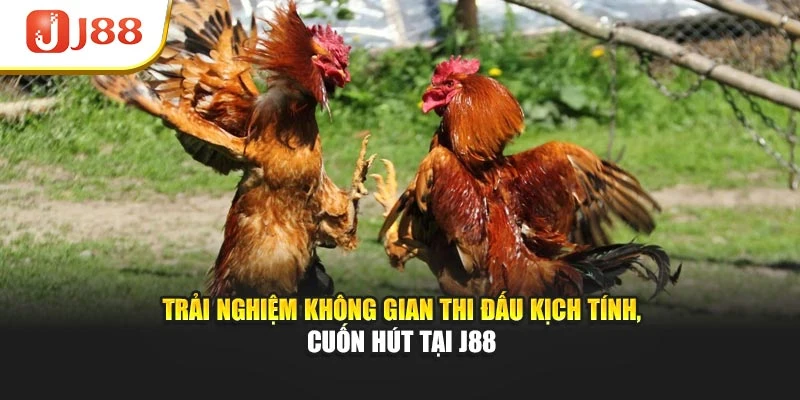 Trải nghiệm không gian thi đấu kịch tính, cuốn hút tại J88